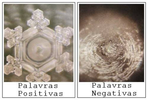 Cristais de Água Depois de falar "Obrigado" e "Idiota" - Fonte das imagens: www.masaru-emoto.net