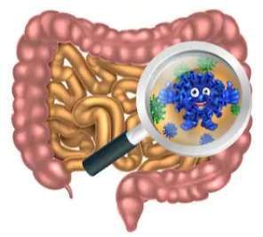 Bianca Enricone - Microbiota Intestinal - Detox Kriyá - Foto Divulgação 