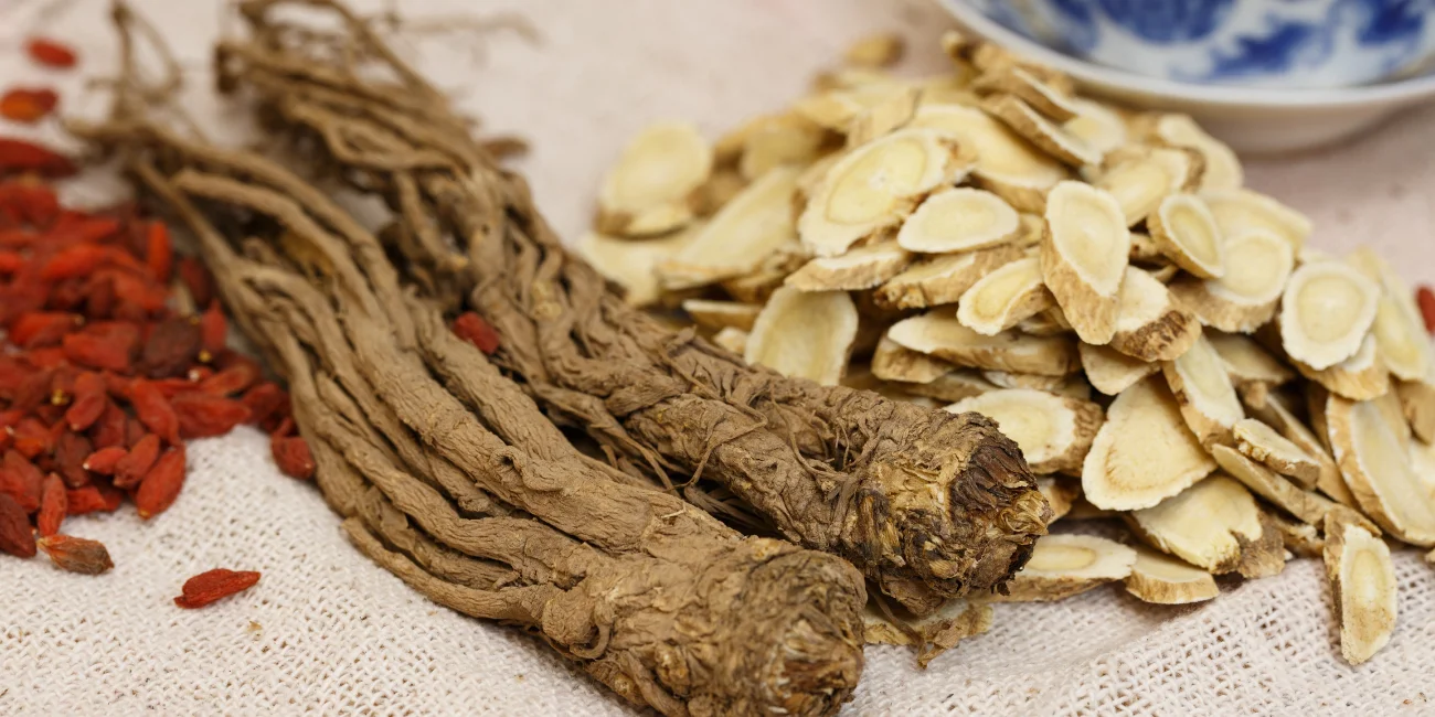 Bianca Enricone - Medicina Tradicional Chinesa A Busca da Longevidade - Astragalus - Foto Divulgação