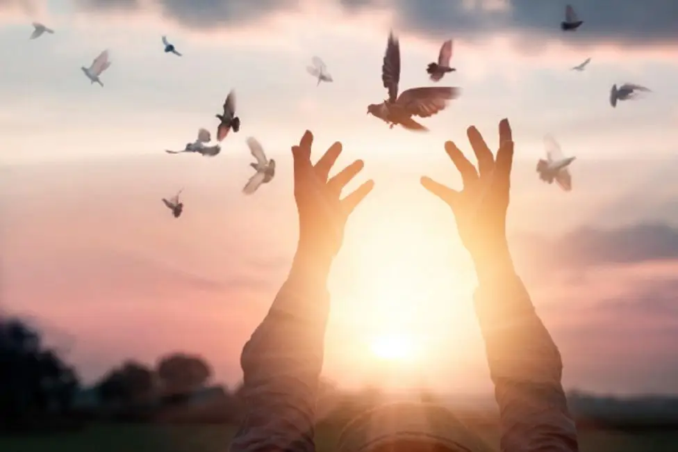 Bianca Enricone - Ciência E A Assinatura De Deus - Quantec - Foto Divulgação