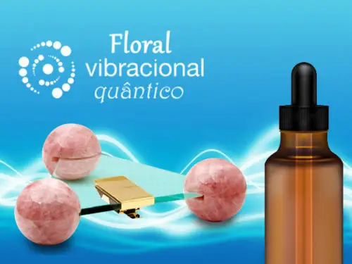 Bianca Enricone - Tratamento Vibracional com o Quantec - Floral Vibracional - Foto Divulgação
