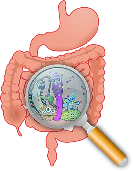 Bianca Enricone - Saúde Intestinal Versus Saúde Integral - Detox Kriyá - Foto Divulgação