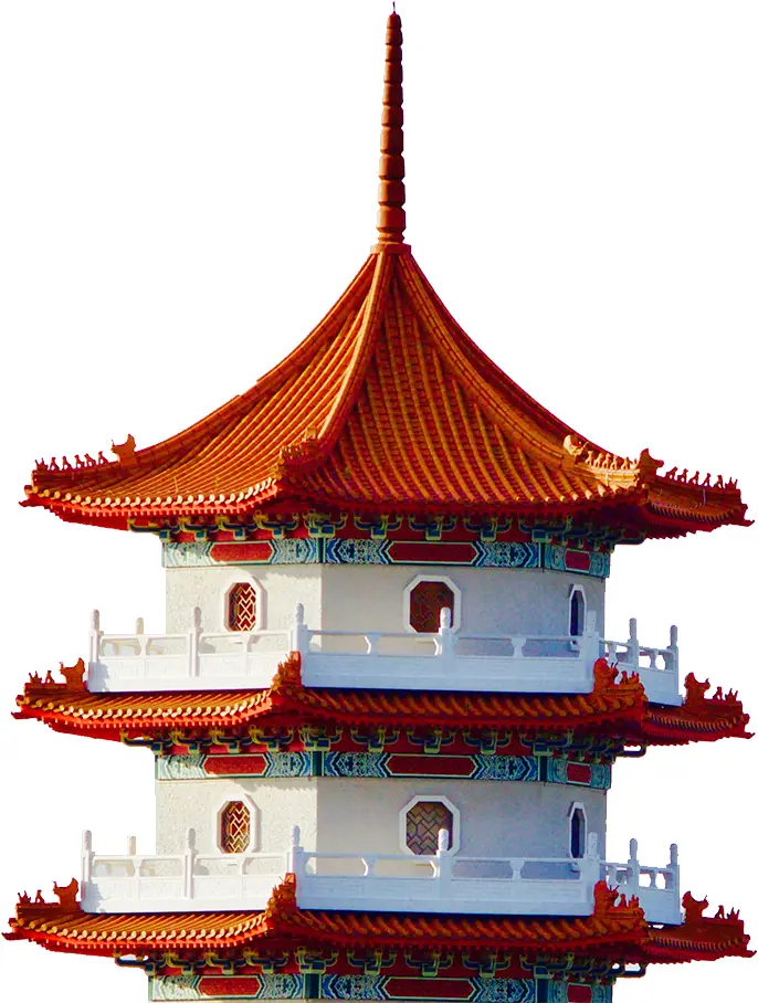 Bianca Enricone - Medicina Tradicional Chinesa - Foto Divulgação