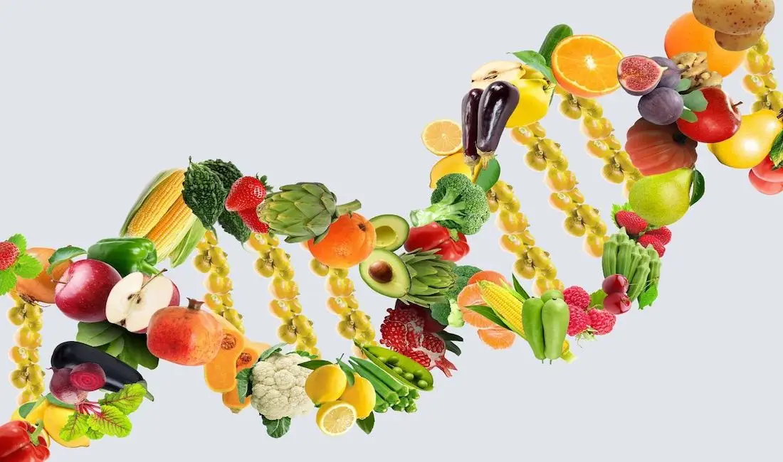Bianca Enricone - Alimente seu DNA - Foto Divulgação